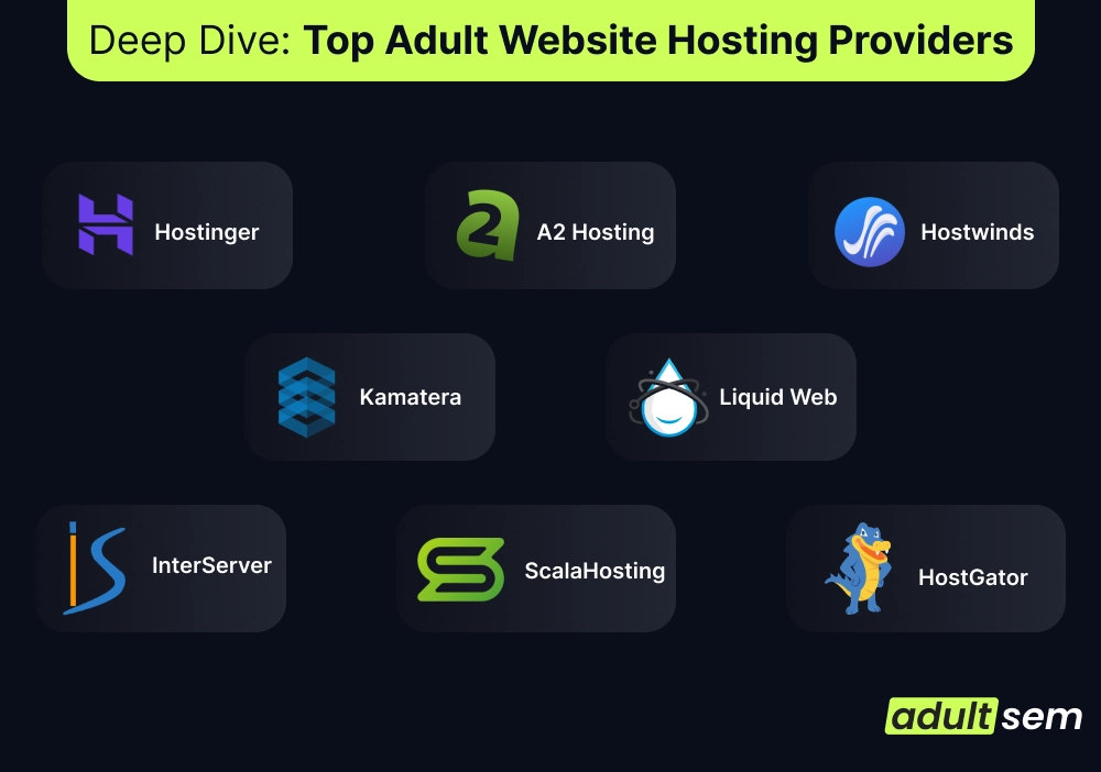 Deep Dive_ Top Adult Website Hosting Providers