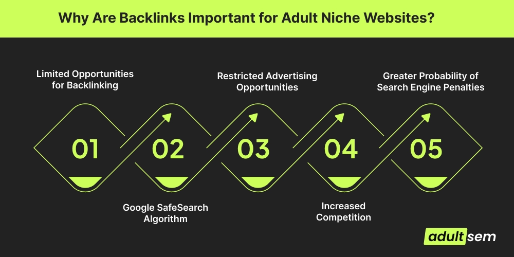 Why Are Backlinks Important for Adult Niche Websites_